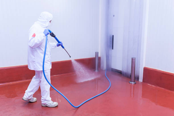 Professional  Pressure Washing Services in Sheridan, OR